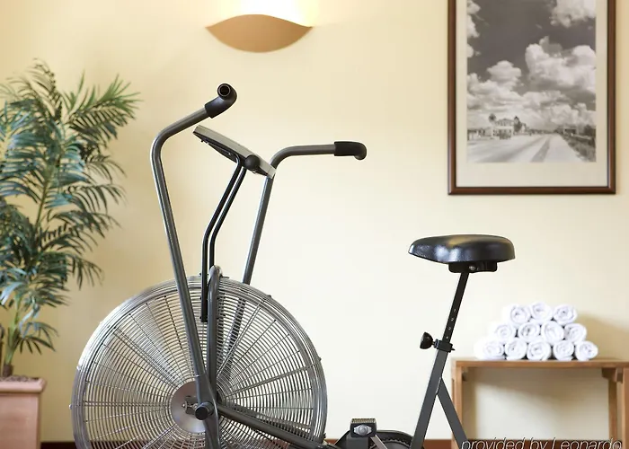 Steigenberger دورتموند